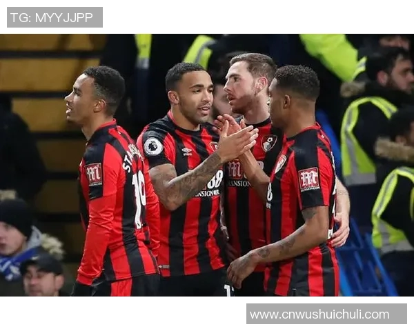 伯恩茅斯与狼队精彩对决全场回顾与分析